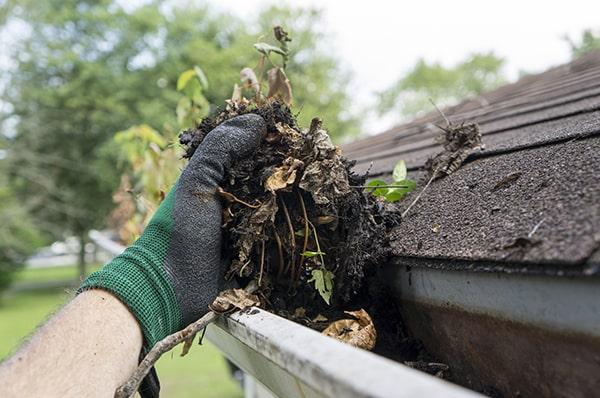 gutter cleaning is still necessary even without nearby trees, as debris and dirt can still accumulate and cause clogs and water damage